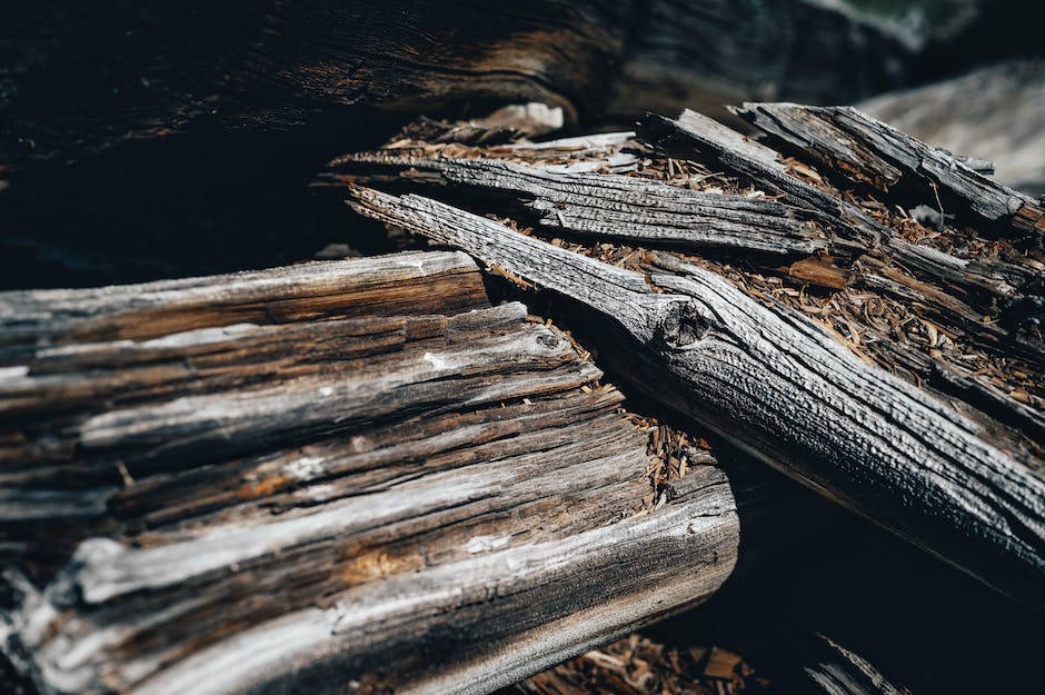 wie lange muss gespaltenes holz trocknen_2