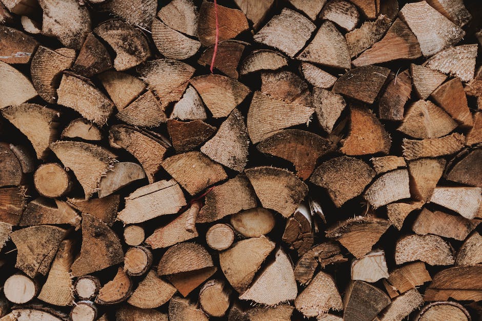 wie lange braucht nasses holz zum trocknen_1